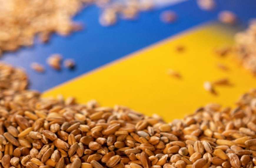 Ви зараз переглядаєте У поточному сезоні Єгипет збільшив імпорт української пшениці