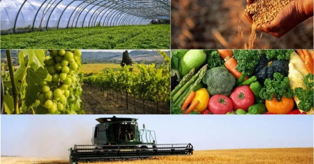 Ви зараз переглядаєте Польща і Словаччина вимагатимуть створити фонд захисту від українського агроімпорту