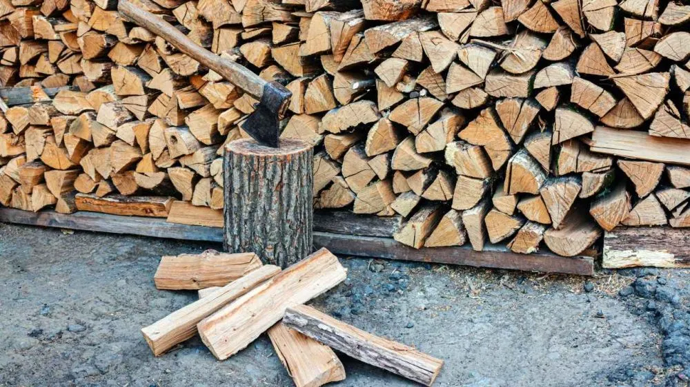 Ви зараз переглядаєте Стало відомо, скільки коштують дрова для опалення восени 2025 р