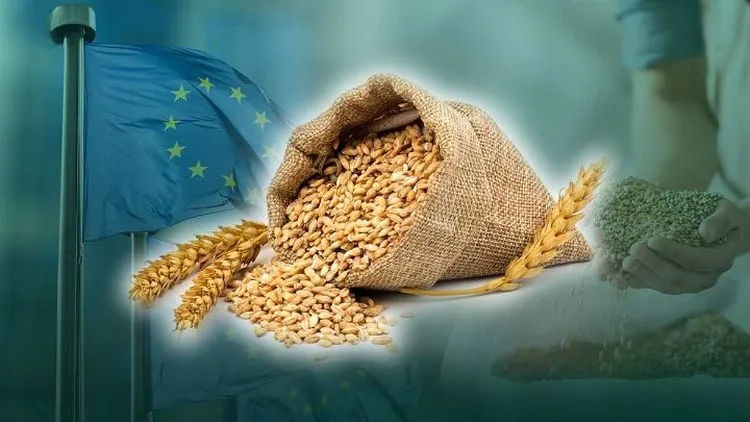 Ви зараз переглядаєте Словаччина ініціювала обговорення у Раді ЄС обмеження українського агроекспорту