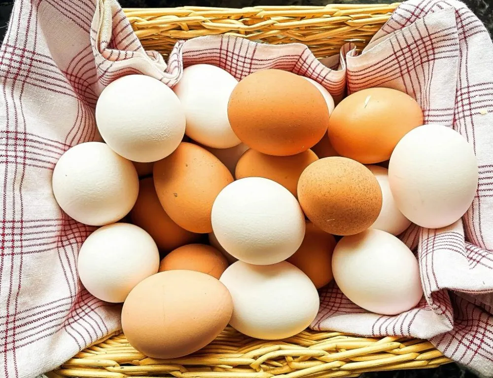 Ви зараз переглядаєте За 8 місяців Україна експортувала майже 1,4 млрд шт яєць