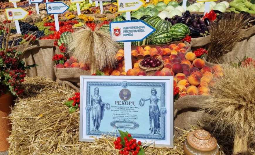 Ви зараз переглядаєте Рекорд України: у Кропивницькому створили мапу з овочів і фруктів