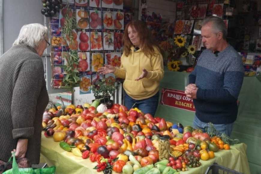 Ви зараз переглядаєте Виставку рідкісних помідорів влаштовують фермери на тернопільському ринку