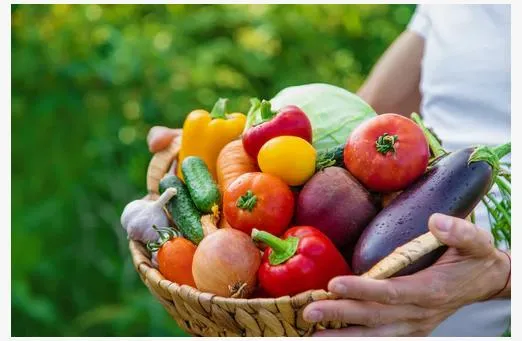 Ви зараз переглядаєте Що потрібно встигнути зробити дачнику у вересні в саду, городі та квітнику