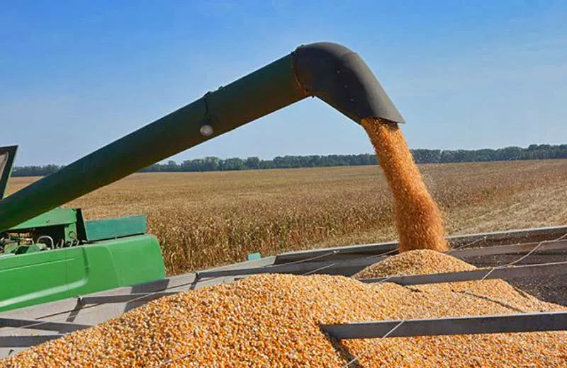 Ви зараз переглядаєте Господарства Вінниччини зібрали понад 2,4 млн т зерна