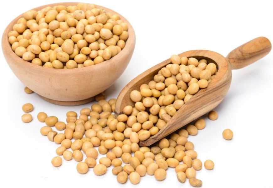 Ви зараз переглядаєте Ринок сої: ціни в Україні знизилися на 200-600 грн/т