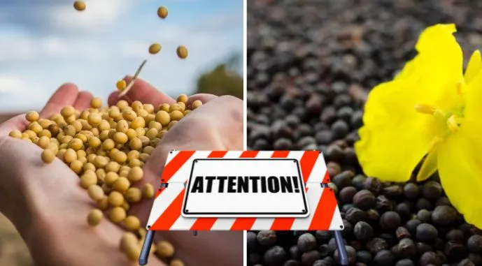 Ви зараз переглядаєте Європейська Бізнес Асоціація закликає скасувати експортне мито на сою та ріпак