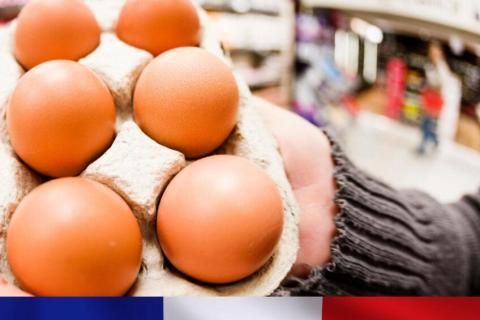 Ви зараз переглядаєте У Фрації скаржаться на українські яйця