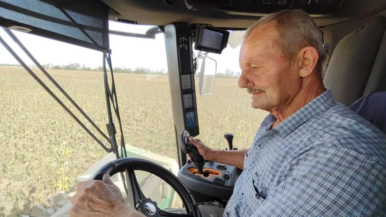 Ви зараз переглядаєте Господарство з Миколаївщини втратило майже всі посіви соняшника через посуху