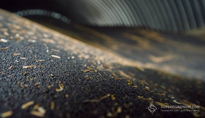 Ви зараз переглядаєте Експорт ріпаку з України зупинився, а внутрішні переробники тепер знижують ціни — аналітики