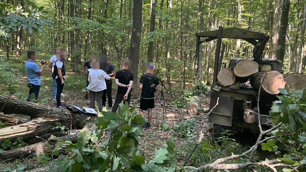 Ви зараз переглядаєте На Тернопільщині шістьох людей судитимуть за незаконне вирубування лісу
