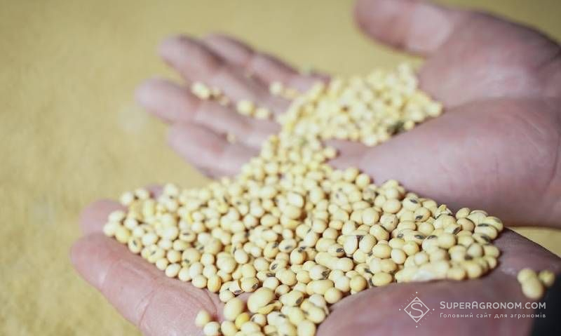 Ви зараз переглядаєте Минулорічний рекордний урожай сої вплинув на ціни, що знизило зацікавлення у вирощування культури в поточному сезоні — думка