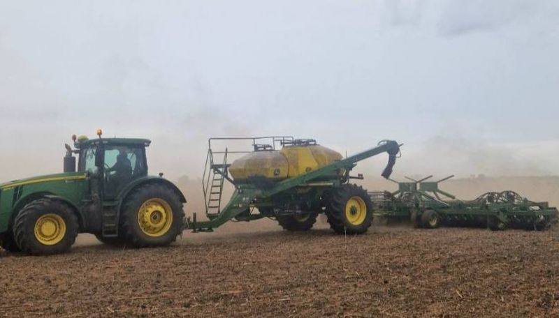 Ви зараз переглядаєте Сорти пшениці Спадщина Одеська та Житниця Одеська обирають агрономи на Одещині — агрономи назвали причини