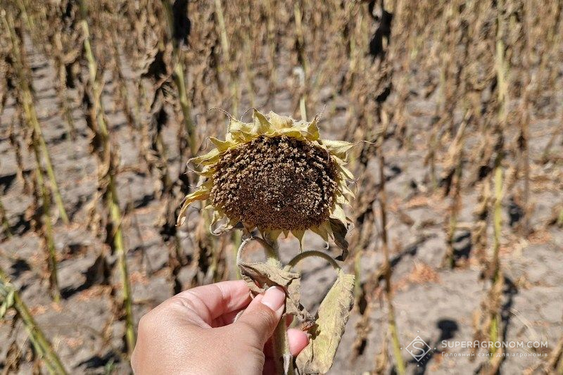 Ви зараз переглядаєте Умови для передпосівної підготовки ґрунту на Дніпропетровщині залишаються дуже складними