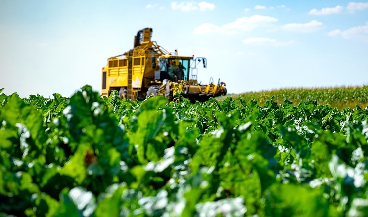 Ви зараз переглядаєте В A’SPIK Group стартував сезон копки цукрових буряків