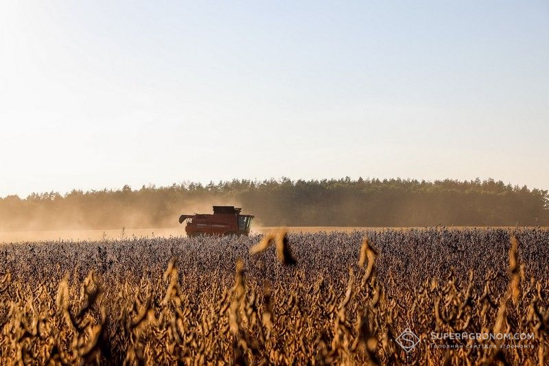 Ви зараз переглядаєте Землі під органічним виробництвом в Україні скоротилися на 26%