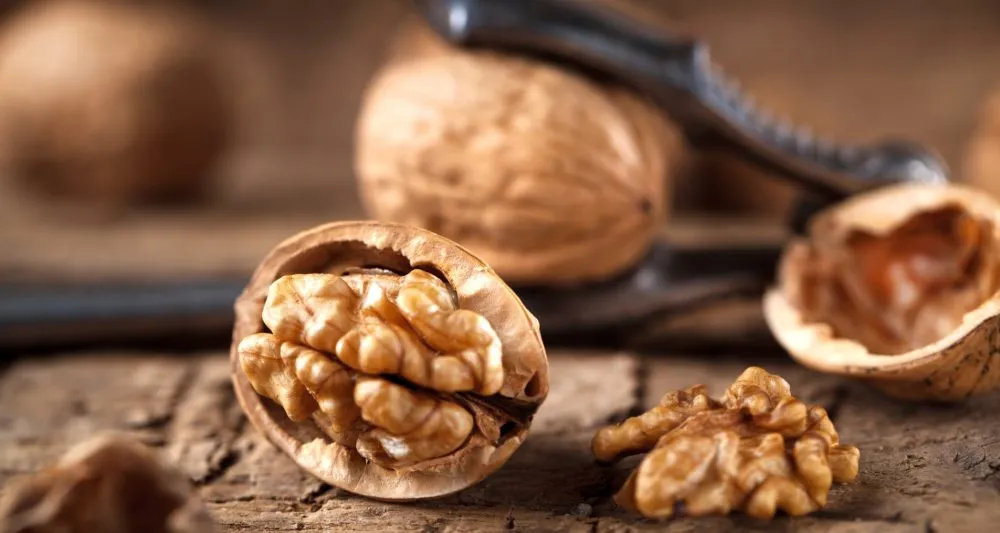 Ви зараз переглядаєте На Полтавщині заморозки скоротили врожай горіхів