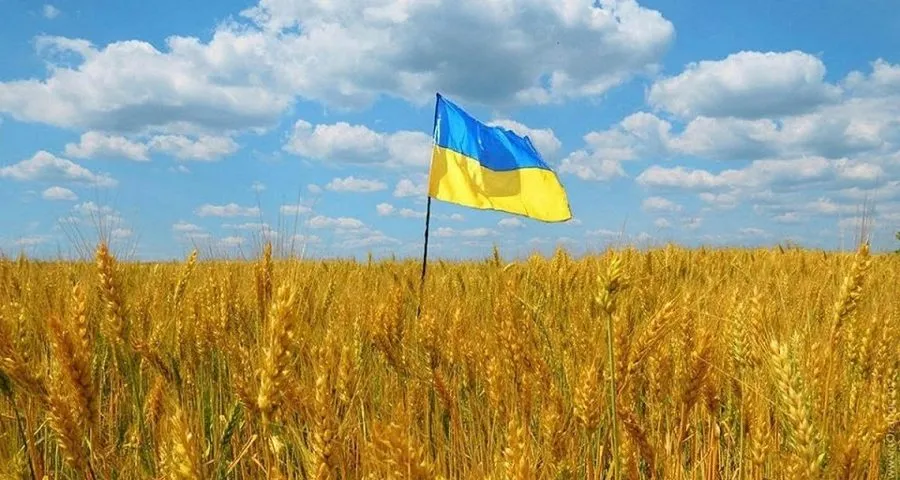 Ви зараз переглядаєте Держгеокадастр запустив електронний витяг із земельного кадастру
