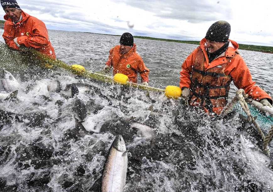 Ви зараз переглядаєте В Україні спростили видачу дозволів на рибний промисел