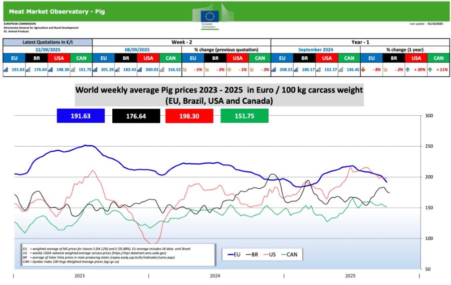 nov 03 10 2025 svini