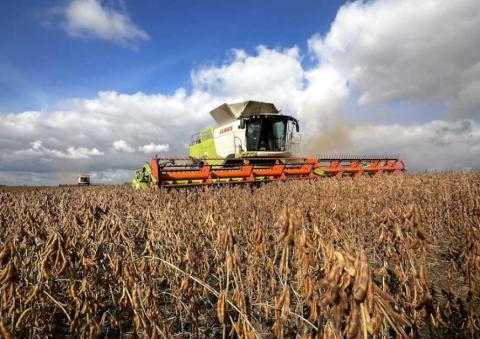 Ви зараз переглядаєте Жнива 2025: зібрано понад 55 млн тонн зернових, зернобобових, олійних культур