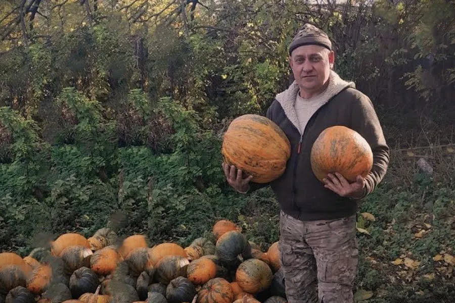 Ви зараз переглядаєте Ветеран запустив гарбузовий бізнес на Кіровоградщині