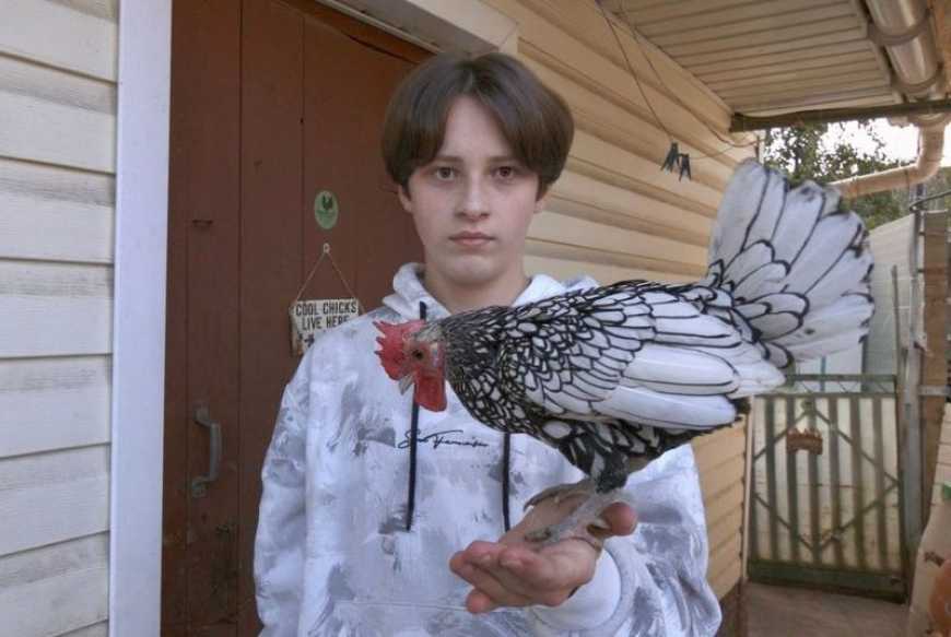 Ви зараз переглядаєте На Тернопільщині юний фермер вирощує незвичних декоративних курей