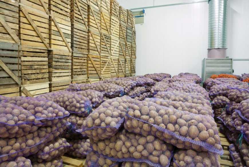 Ви зараз переглядаєте На Черкащині овочівники збільшать овочесховище на 6 тис. тонн