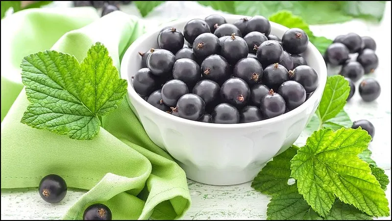 Ви зараз переглядаєте Україна відновила експорт свіжої смородини до рівня 2022 р