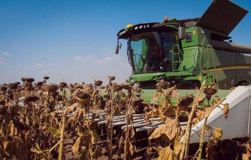 Ви зараз переглядаєте Жнива-2025: в Україні зібрано вже понад 40 млн тонн зернових