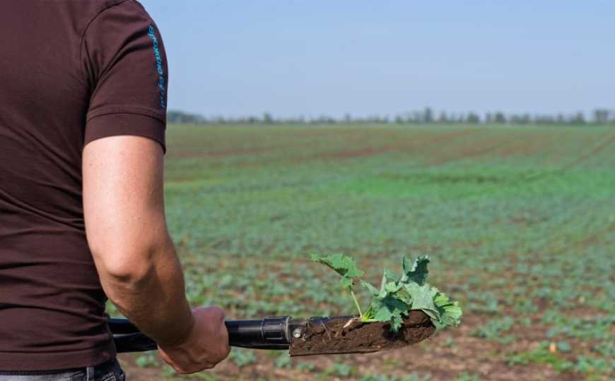 Ви зараз переглядаєте Контроль хвиль сходів падалиці зернових