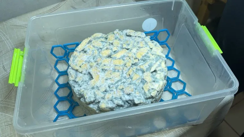 На Волині подружжя започаткувало власну сироварню та виготовляє понад 20 видів сирів3