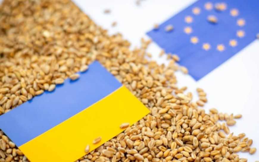 Ви зараз переглядаєте Нові тарифні квоти ЄС призведуть до різкого падіння українського агроекспорту