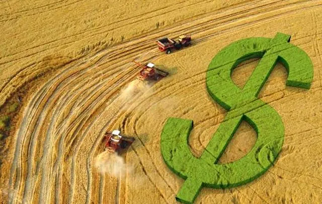 Ви зараз переглядаєте Ринок землі в Україні показав стабільність після зростання 2024 р