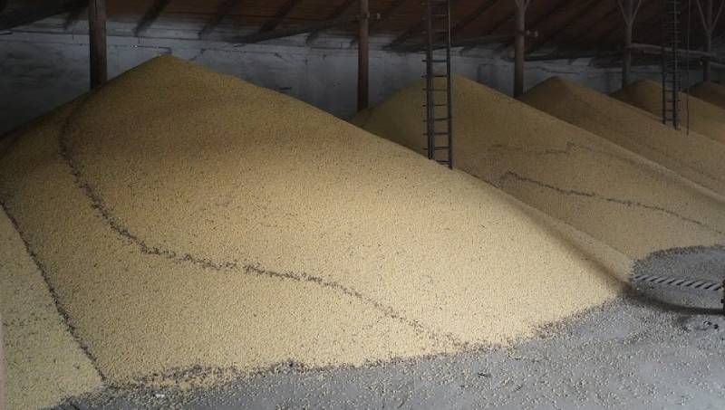 Ви зараз переглядаєте Аграрії можуть отримати пільги зі сплати 10% мита на експорто сої та ріпаку — Кабмін затвердив порядок