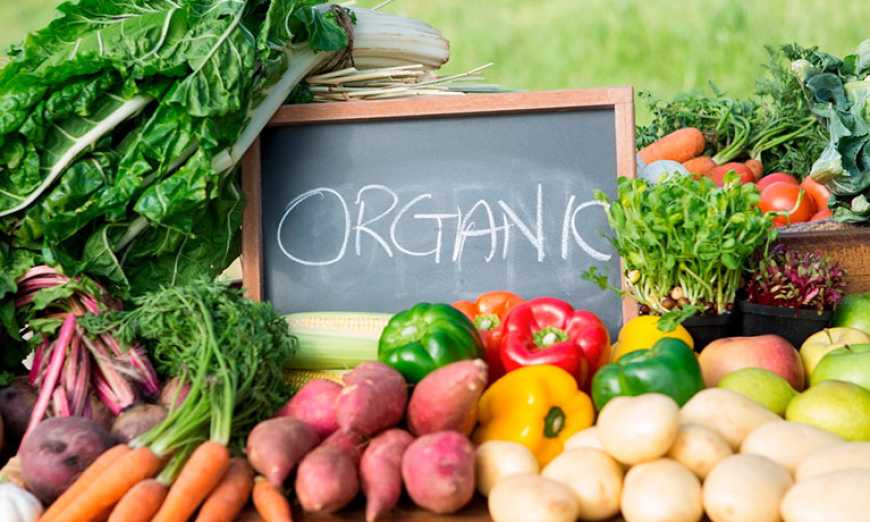 Ви зараз переглядаєте Україна входить до топ-5 постачальників органічної продукції до ЄС