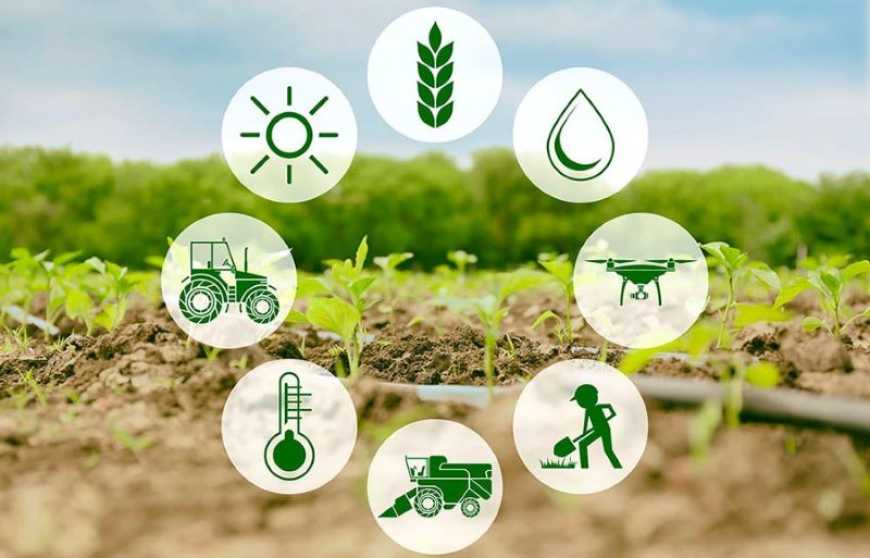 Ви зараз переглядаєте До 2034 року ринок розумного сільського господарства перевищить 60,9 млрд доларів