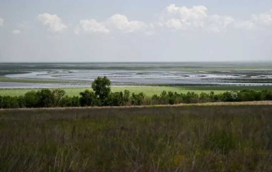 Ви зараз переглядаєте Каховське водосховище: на місці колишнього водосховища формується екосистема тополево-вербового лісу