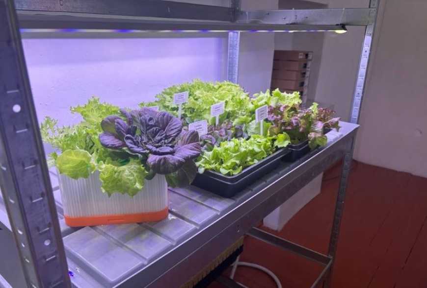 Ви зараз переглядаєте Єдину в Україні шкільну Зелену лабораторію відкрили на Житомирщині