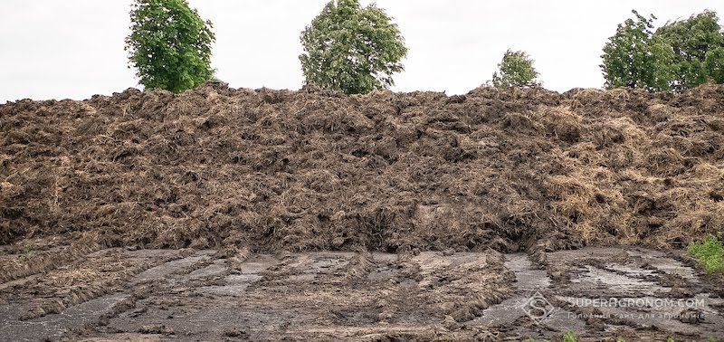 Ви зараз переглядаєте Ліміт 170 кілограмів азоту на гектр при внесенні гною з 2026 року буде встановлено в Нідерландах