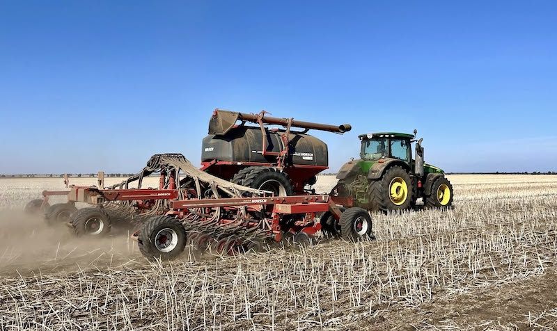 Ви зараз переглядаєте На Одещині сіють зимуючий горох