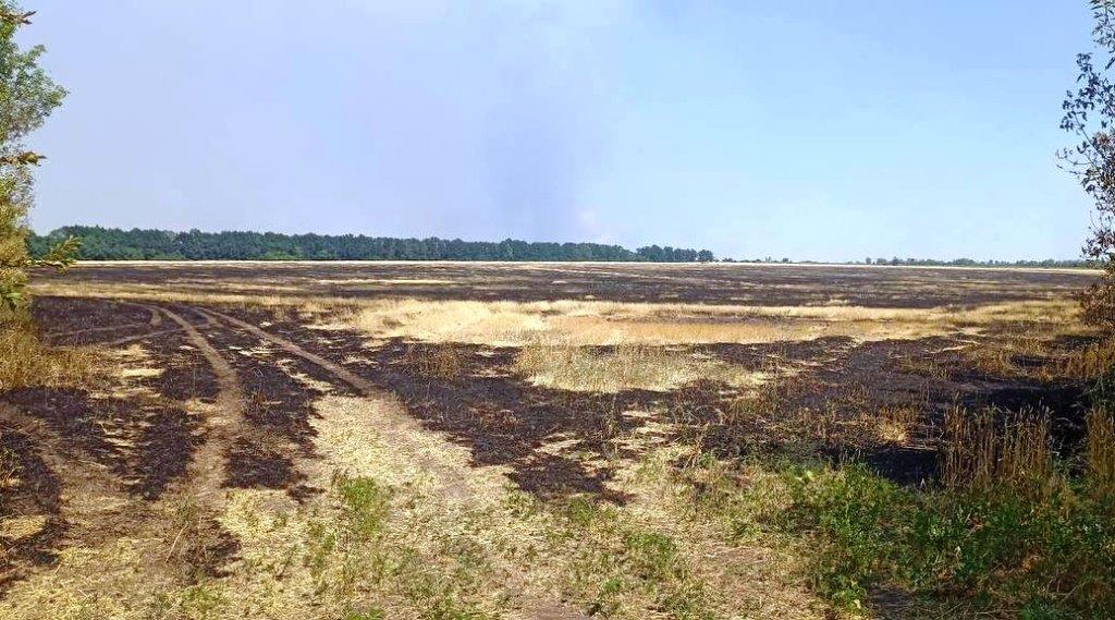 Ви зараз переглядаєте Розмінування агроземель: рекордну ділянку очистили на Харківщині