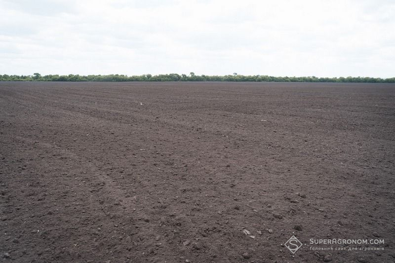 Ви зараз переглядаєте Співпраця з окупантами не допомогла: російські окупаційні сили захопили агропідприємство «Войников і Ко» на Запоріжжі