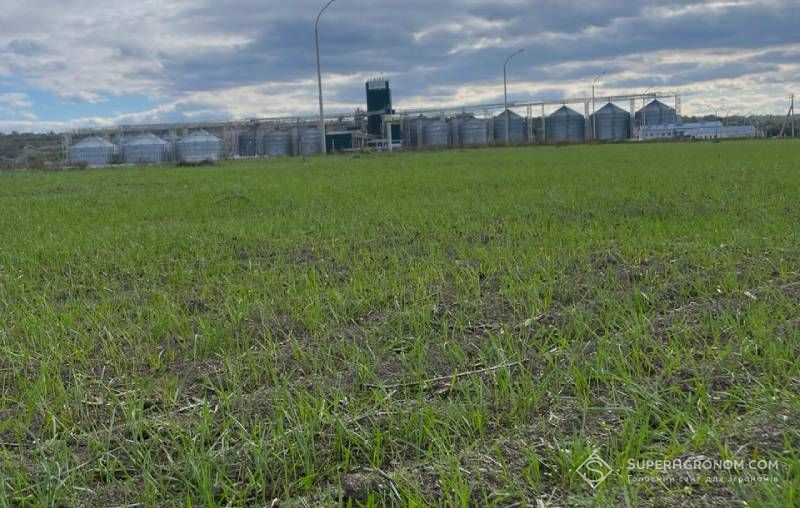 Ви зараз переглядаєте В НІБУЛОН не сіятимуть соняшник та інші яр культури на Миколаївщині