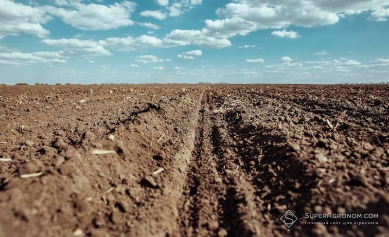 Ви зараз переглядаєте В Україні близько 4 млн га земель обробляється в «сіру» або в «чорну»