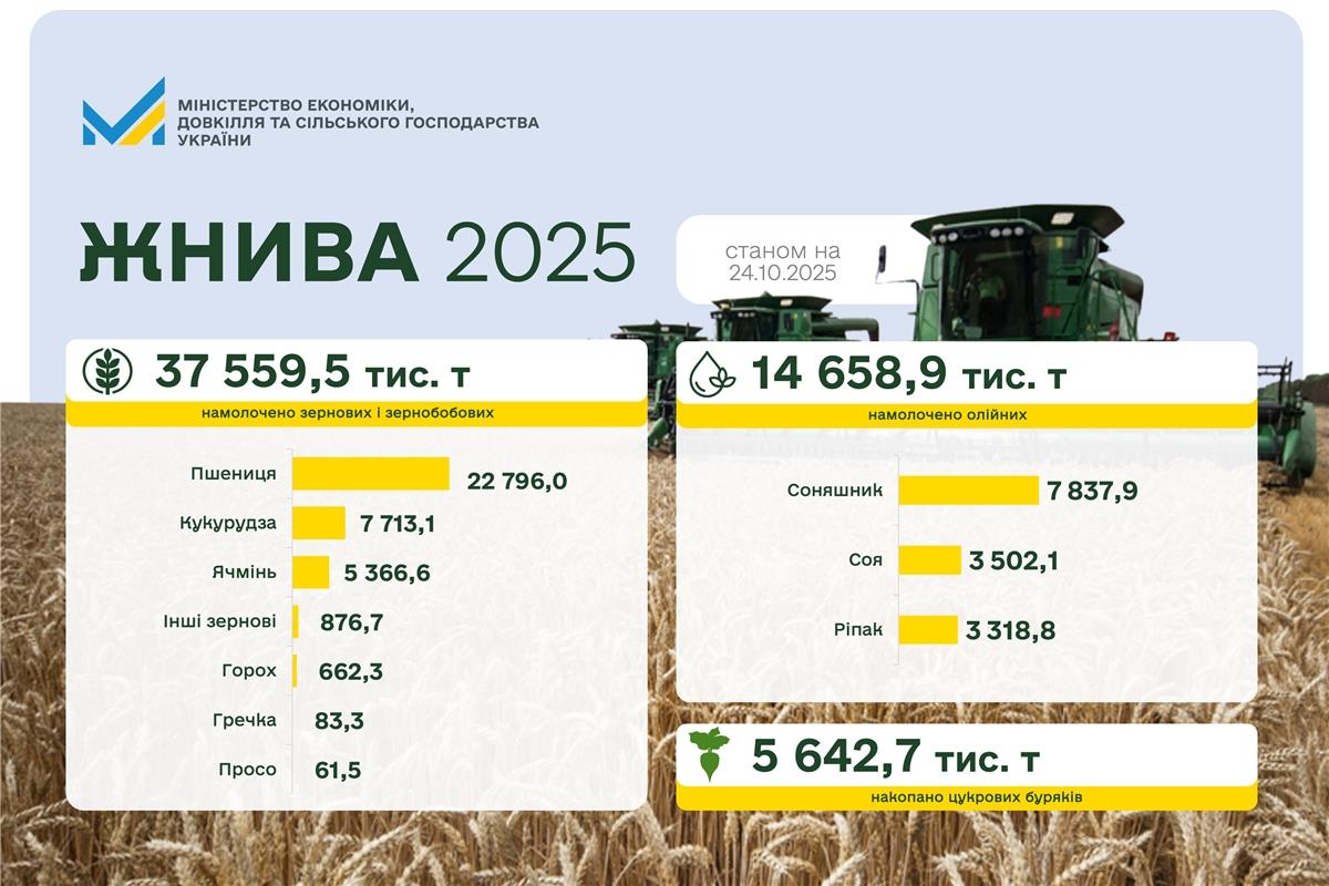 Ви зараз переглядаєте В Україні вже зібрано 37 559,5 тис. тонн зернових культур