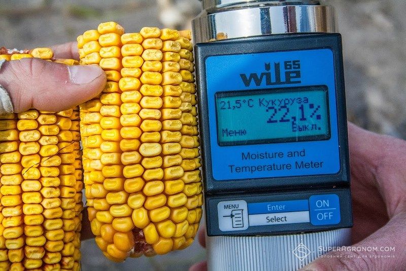 Ви зараз переглядаєте Власна зерносушарка підвищує рентабельність вирощування кукурудзи на 20%