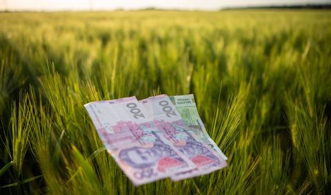 Ви зараз переглядаєте Найприбутковіші культури 2025 року: горох, соняшник і соя лідирують у сільському господарстві