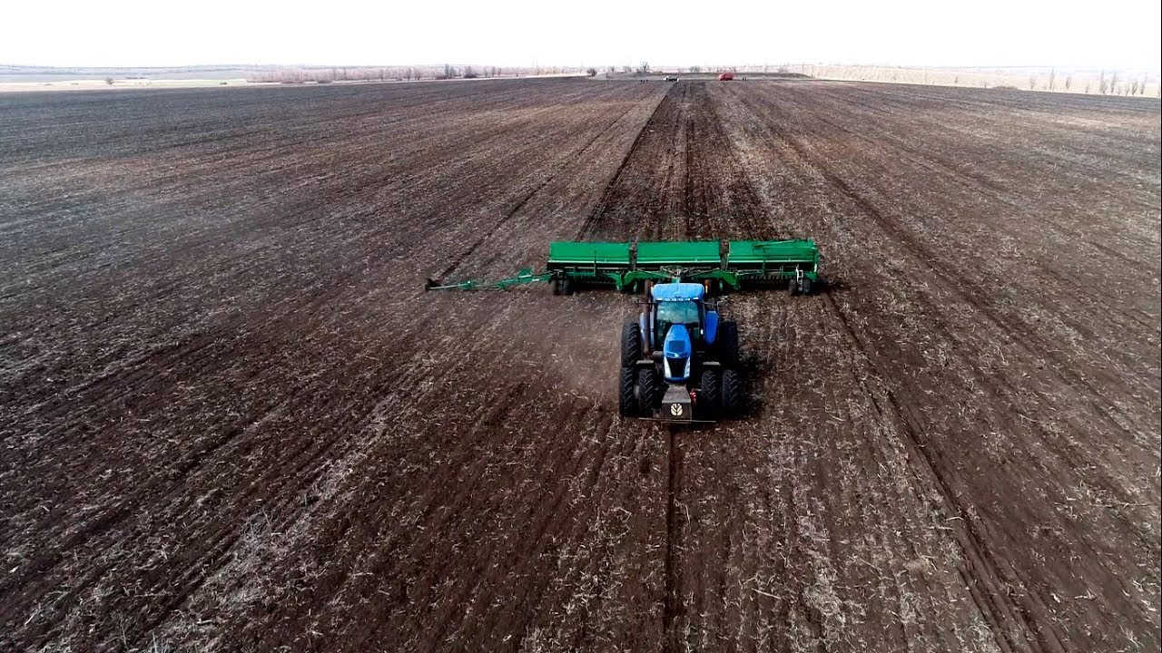 Ви зараз переглядаєте В Україні озимим ріпаком засіяли майже всі заплановані площі