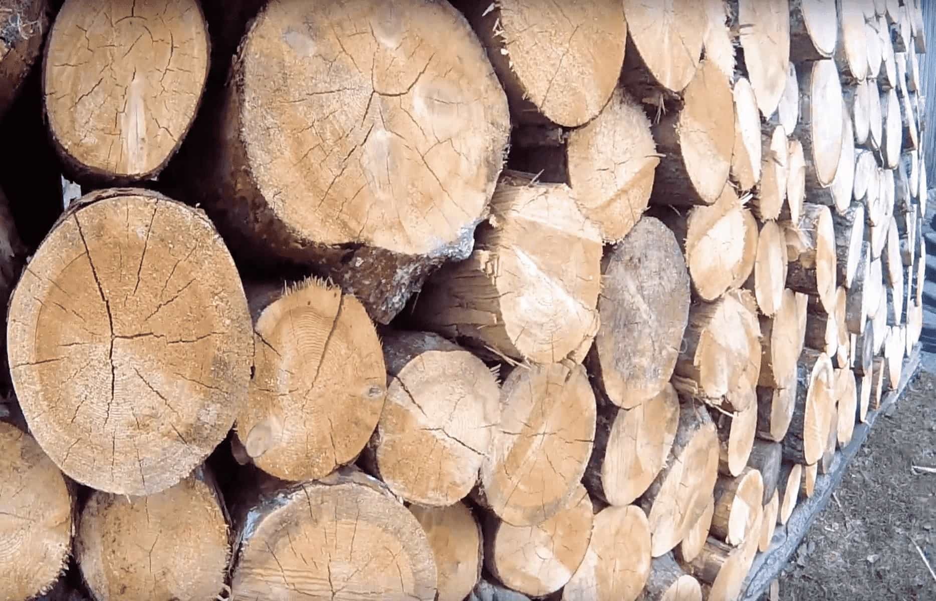 Ви зараз переглядаєте Стало відомо, скільки коштують дрова у приватних компаній